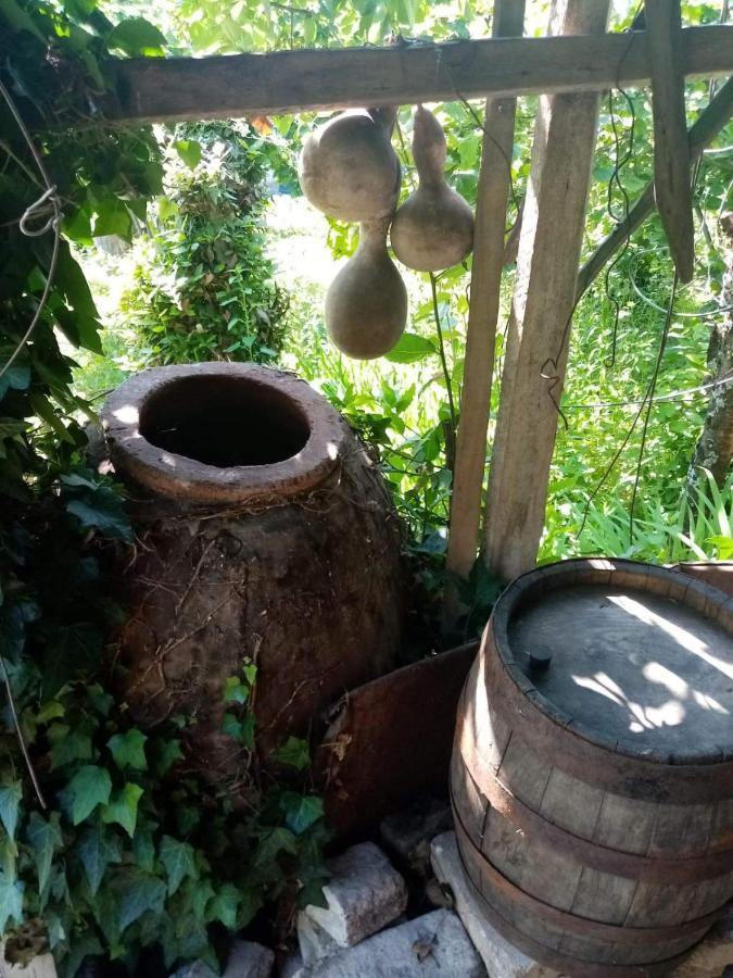 Guest House Knarik ジワリ  エクステリア 写真