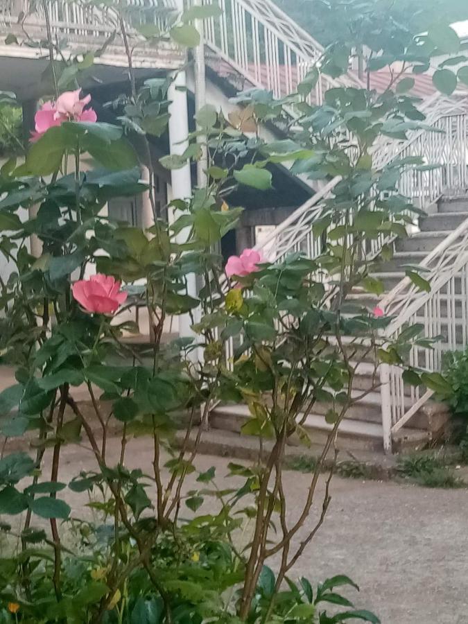 Guest House Knarik ジワリ  エクステリア 写真